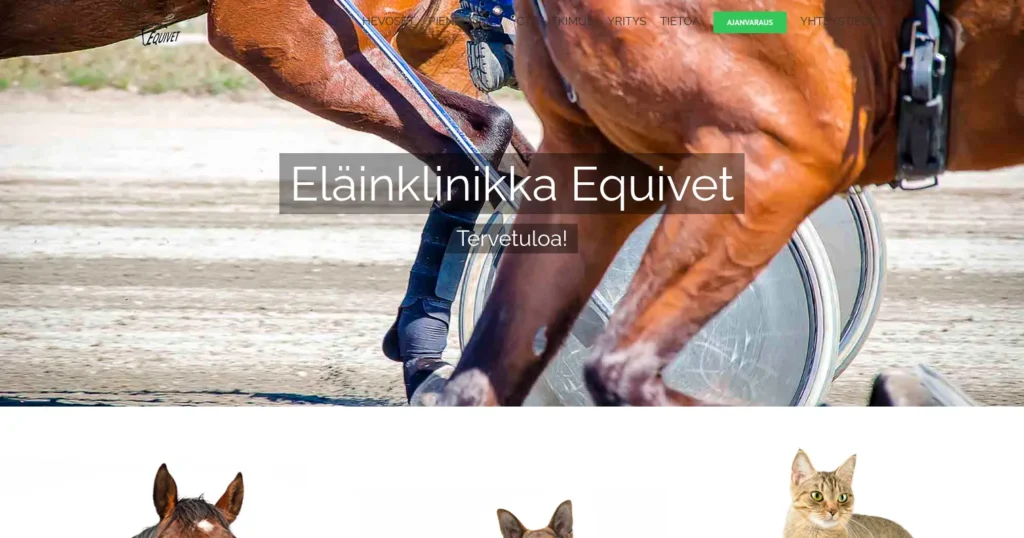Equivet's website before: the front page's first screen