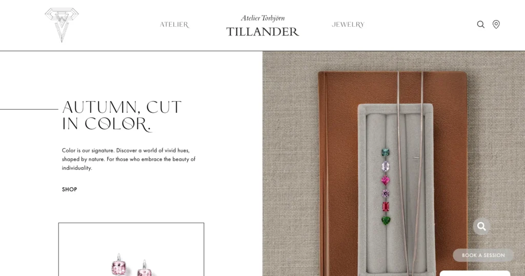 Atelier Torbjörn Tillander's new website: the front page's first screen